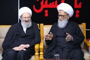 تقویت پیوندهای علمی قم و نجف؛ حضور آیت‌الله فقیهی در بیت مراجع عظام تقلید