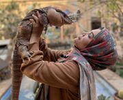 خانه‌هایی با میهمان خزنده / داستان رواج نگهداری مار به عنوان حیوان خانگی