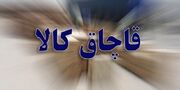 انتقاد نماینده مجلس از ممنوعیت واردات / سود اصلی به قاچاق می‌رسد
