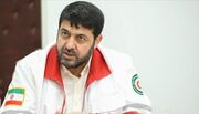رئیس جمعیت هلال‌احمر: هیچ بیماری واگیر در میان زائران گزارش نشده است