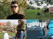 سه قاب تازه از سینمای ایران/ جهانی شدن «نازول» و بازگشت «اربعین»