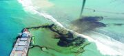 نجات دریاها از آلودگی‌های نفتی/ موهایی که فیلتر می‌شوند