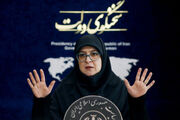 سخنگوی دولت: پزشکیان اجازه نداد اعتراضات به‌حق مردم توسط بیگانگان مصادره شود