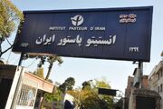 طاعون در روسیه هنوز تأیید نشده است / توضیح رئیس انستیتو پاستور