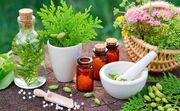 کشت کنترل‌شده گیاهان دارویی کلید خورد / تأمین مواد اولیه دارو در داخل