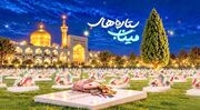 ستاره‌ها در ضیافت آسمانی گلزار شهدای میناب