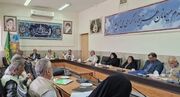 توسعه شبکه خادمیاری با بهره‌گیری از ایده‌های خلاق دنبال شود
