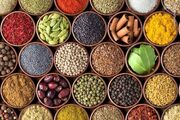 از آویشن و زنجبیل تا نسخه‌های فضای مجازی / رواج خوددرمانی با گیاهان دارویی