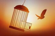 آزادی زندانی محکوم به قصاص در درگز پس از ۸ سال حبس