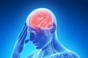 با این کار مغز شما کوچک می‌شود