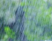 پیش‌بینی بارش در شرق و شمال‌شرق کشور؛ ثبت ۲۵ تا ۵۰ میلی‌متر بارندگی