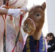 یک مار ذرت و اسب کوچک در مراسم تحویل سال در برج اوساکا + عکس