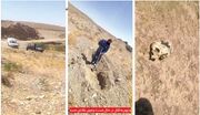 قتل هولناک همسر به خاطر شک به خیانت/ کشف بقایای جسد که خوراک حیوانات شده + عکس