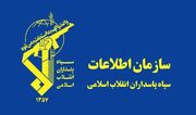 شبکه اخلال‌گر نظام اقتصادی در اردبیل متلاشی شد