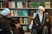 حجت‌الاسلام‌ والمسلمین مروی با آیت‌الله نوری همدانی دیدار کرد