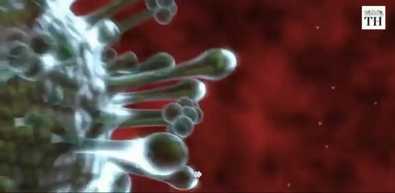 فیلم / علائم بیماری ناشی از آلودگی هوا چه تفاوتی با آنفلوآنزا دارد؟