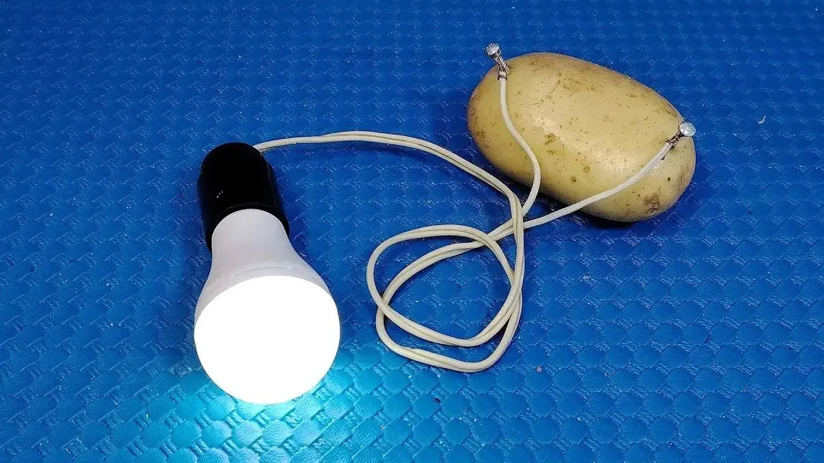 چطور با سیب زمینی برق رایگان برای لامپ LED تولید کنیم؟ / فیلم