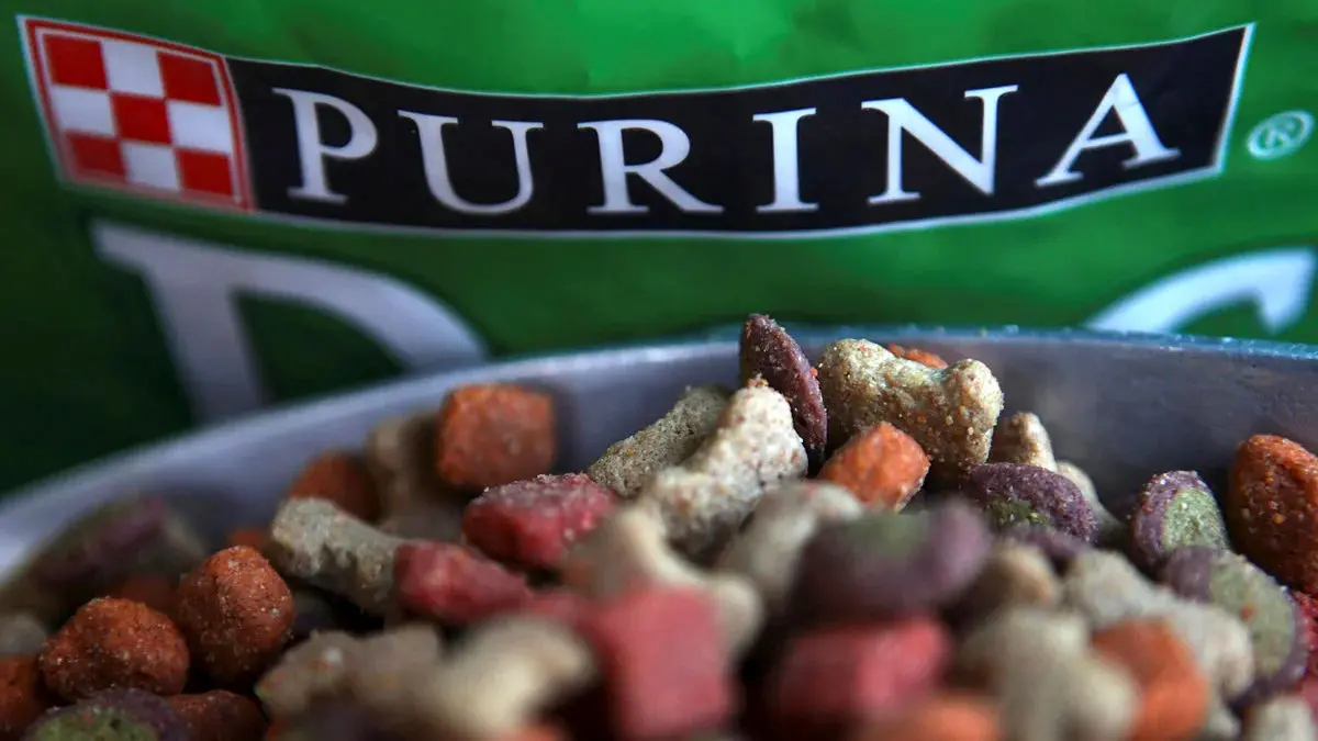 خطر غذای حیوانات خانگی با پایه ماهی برای گربه‌ ها و سگ‌ ها