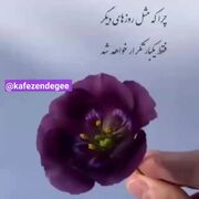 فال و طالع بینی روزانه 16 شهریور / فیلم