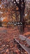 فال تک نیت اوراکل وحی + فیلم