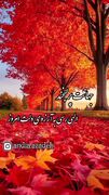 فال و طالع بینی روزانه 20 آذر + فیلم