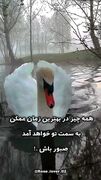 فال ابجد محشر 24 دی + فیلم