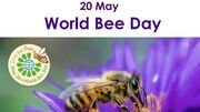 چرا 20 می به عنوان روز جهانی زنبور عسل نام‌ گذاری شده است؟