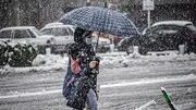 تهران از یکشنبه برفی و بارانی می شود