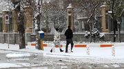 برف و باد هوای تهران را پاک کرد