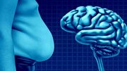 حقایقی درباره ارتباط چربی با کاهش حجم مغز