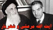 فیلم / از خواب آیت‌ الله مرعشی تا شعر جاودانه شهریار؛ راز «علی ای همای رحمت» چه بود؟