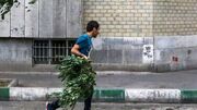 تهرانی ها مواظب باشند؛ وزش باد شدید و گرد و خاک در راه است