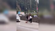 فیلم لحظه نجات یک سگ زخمی از مرگ در جاده های سوادکوه