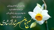 فال و طالع بینی امروز 29 خرداد 1405