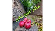 فال و طالع بینی امروز 7 تیر ماه 1405