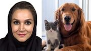 قاتلان ریز تابستانی در کمین سگ و گربه‌ها؛ دکتر پگاه محبی از هجوم کک و کنه و بیماری‌های خطرناک آن‌ها می‌گوید