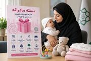 شهرداری تهران «بسته مادرانه» را از تابستان اجرا می‌کند