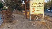 فیلم / اینجا پارک بهاران باغ فیض گل‌ها خشک شدند، درختان قطع شدند / اولویت شهرداری منطقه ۵ پل های میلیاردی دوچرخه است یا فضای سبز؟