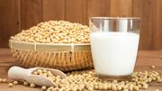 طرز تهیه شیر سویا خانگی با سویا خشک؛ سالم، مقوی و اقتصادی