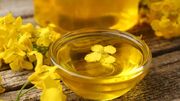 هشدار درباره کمبود روغن در ماه‌های آینده؛ حذف ارز ترجیحی فعلاً بازار را آرام نگه داشته است