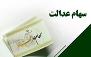 ضرورت واگذاری اختیار سهام عدالت به مردم توسط دولت