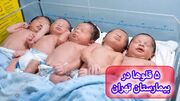 به دنیا آمدن 5 قلوهای مریوانی در تاریخ رند 1405 + فیلم و عکس