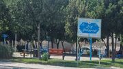 مرگ تلخ دلسای 7 ساله در پارک اسلامشهر