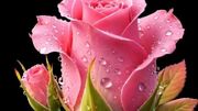فال ابجد فردا یکشنبه 18 مرداد برای متولدین هر ماه
