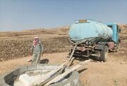 آبرسانی سیار به آبشخورهای قصرشیرین برای نجات گونه‌های جانوری از تشنگی