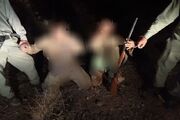 حفاظت از میراث ۱۸۰ ساله؛ آمار حیات وحش در پارک ملی «قمیشلو» منتشر شد