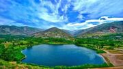 فال حیوانات سلتیک امروز 12 شهریور برای متولدین بهار