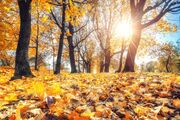 پیش‌بینی پاییز گرم و بارش نرمال؛ هشدار درباره تداوم بحران آب