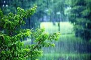 پیش بینی ۴ روز آینده هواشناسی و توصیه کاربردی به کشاورزان