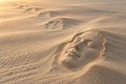 چهره‌هایی که فراموش نمی‌شوند؛ چرا بعضی آدم‌ها سال‌ها در ذهن ما می‌مانند؟